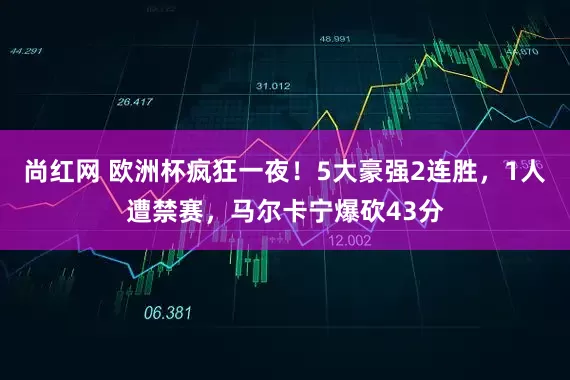 尚红网 欧洲杯疯狂一夜！5大豪强2连胜，1人遭禁赛，马尔卡宁爆砍43分
