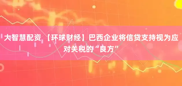 大智慧配资 【环球财经】巴西企业将信贷支持视为应对关税的“良方”