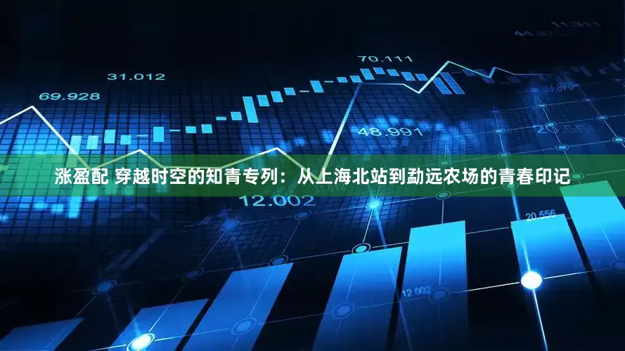 涨盈配 穿越时空的知青专列：从上海北站到勐远农场的青春印记